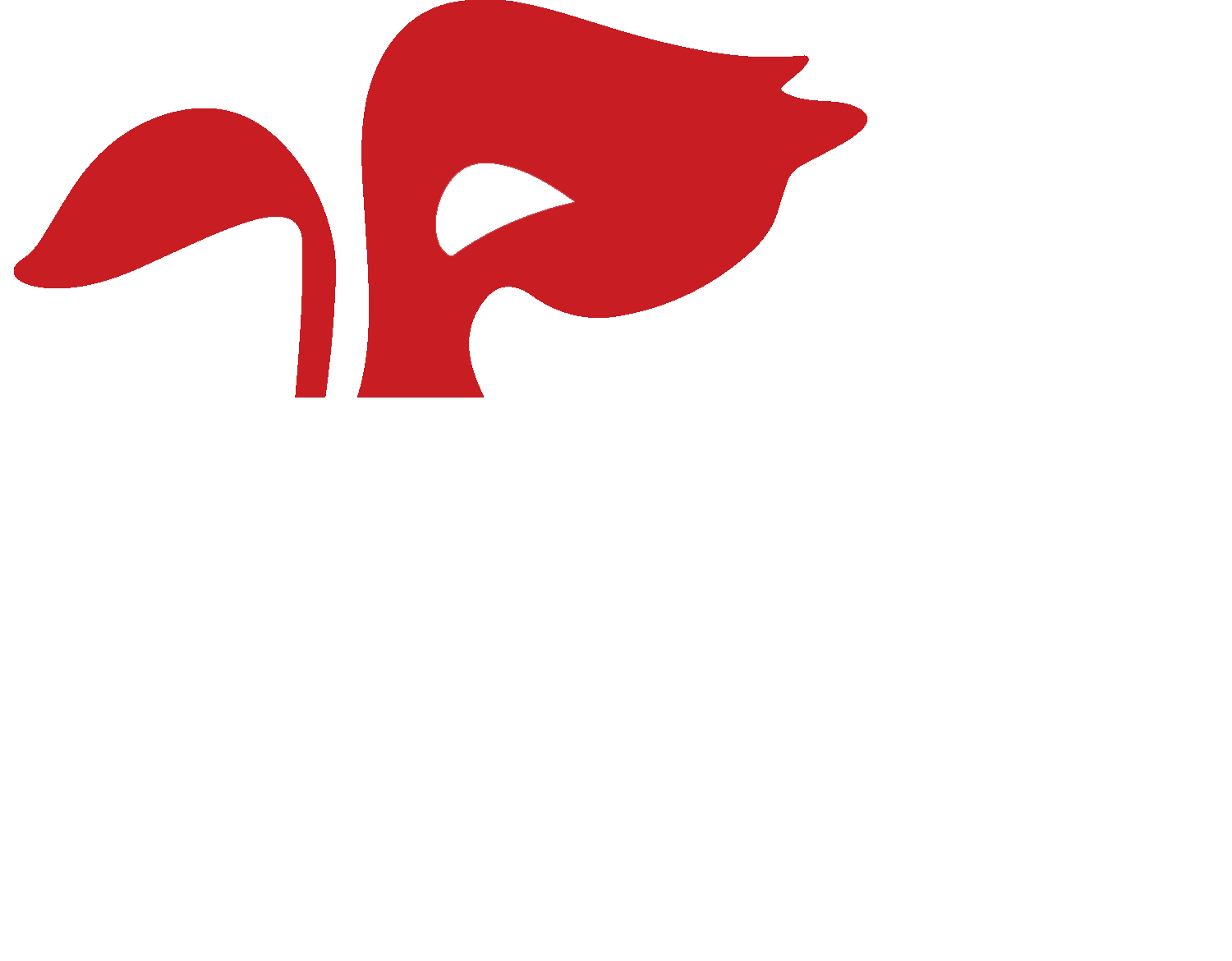 دار التنوير